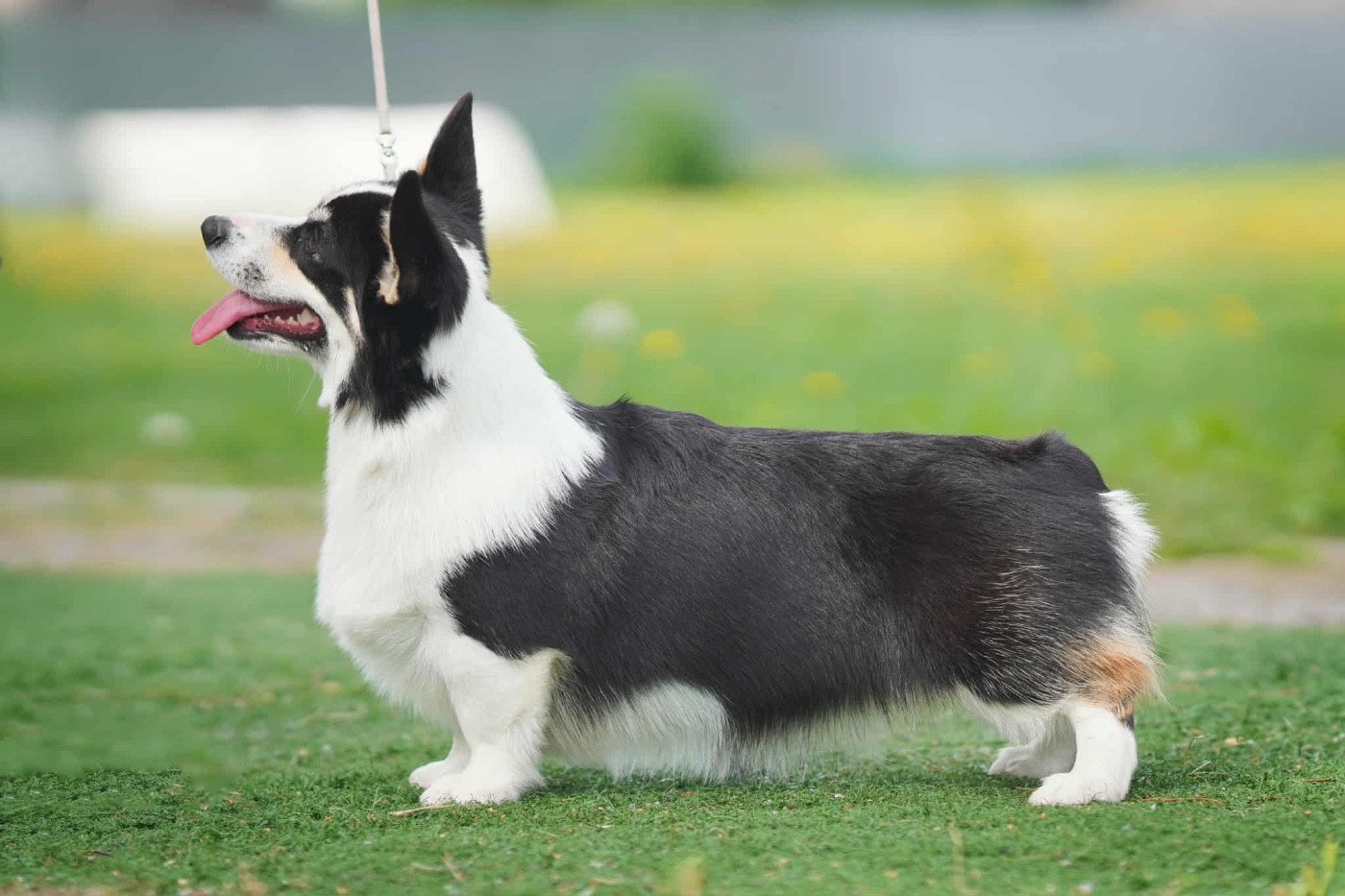 Night keepish Chips N Crips